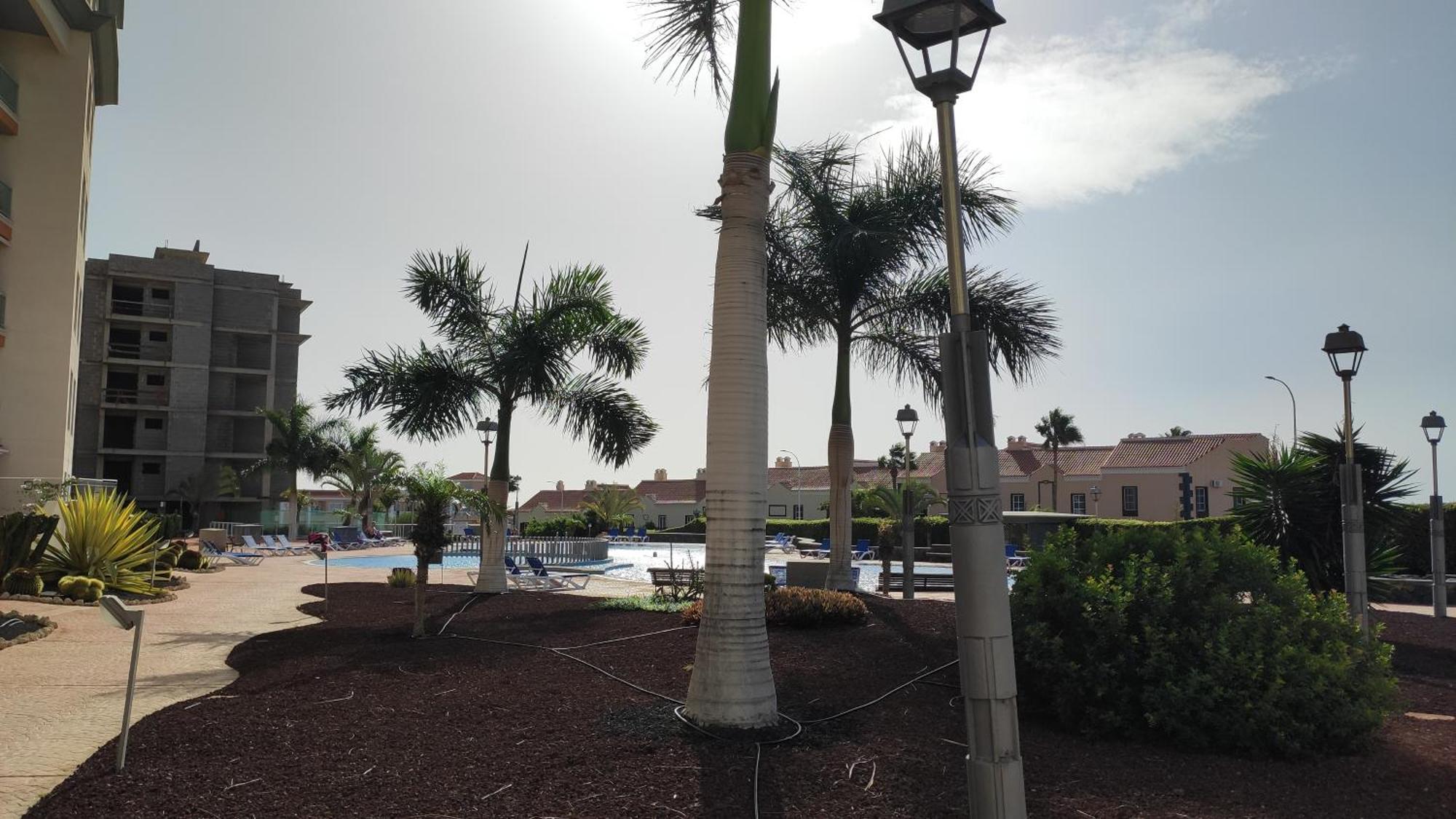 Sungolf Apartman Σαν Μιγκέλ ντε Αμπόνα Εξωτερικό φωτογραφία